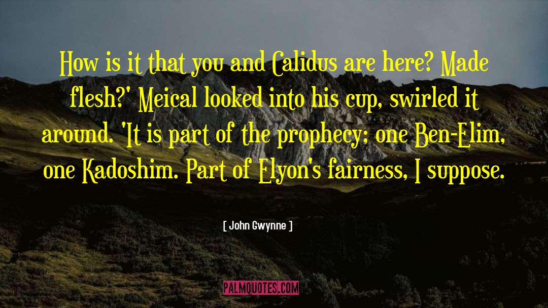 Prophecy And Fulfillment quotes by John Gwynne