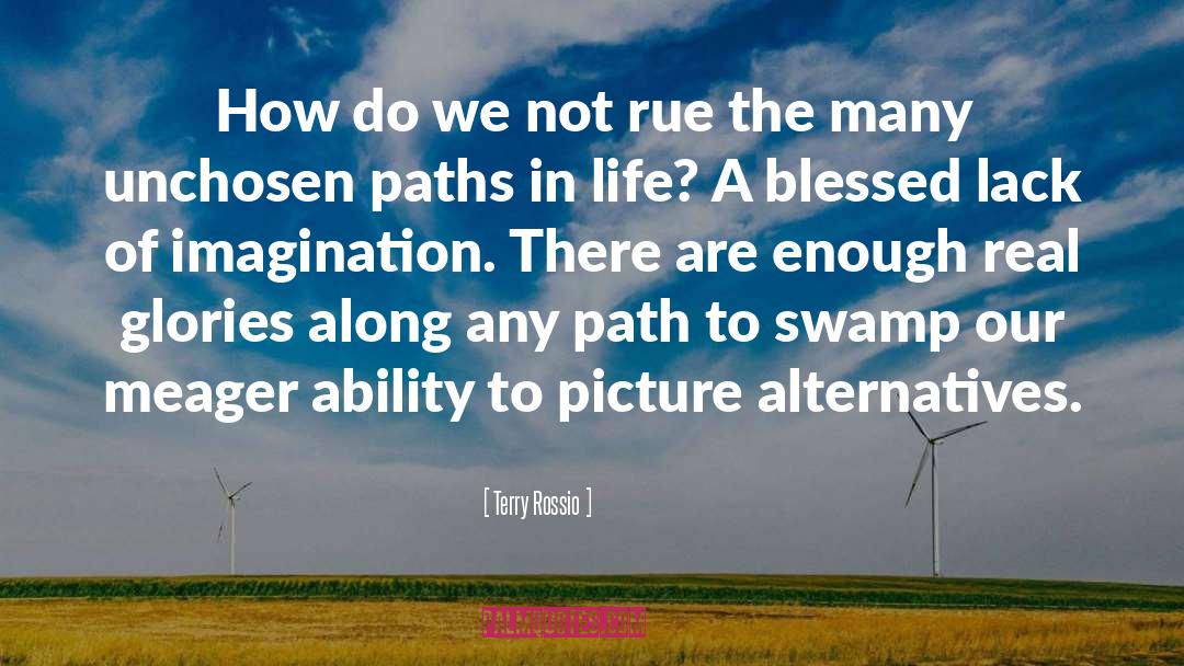 Prophetic Imagination quotes by Terry Rossio