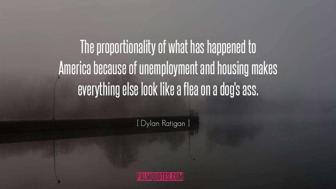 Proportionality quotes by Dylan Ratigan