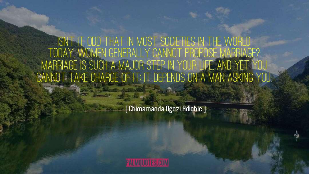 Propose Marriage quotes by Chimamanda Ngozi Adichie