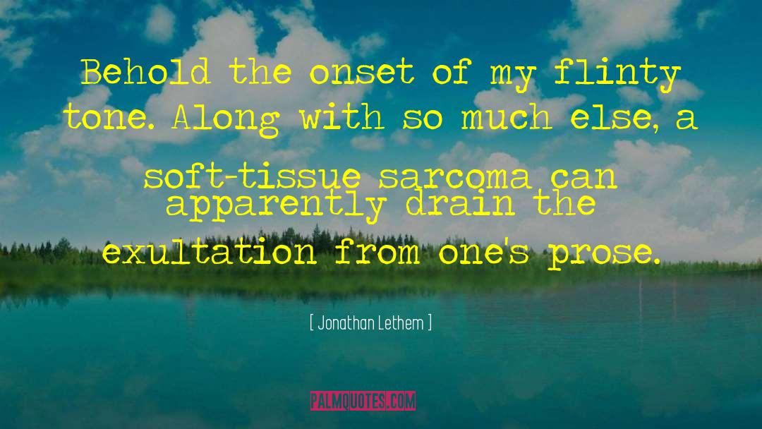 Prose Writing quotes by Jonathan Lethem