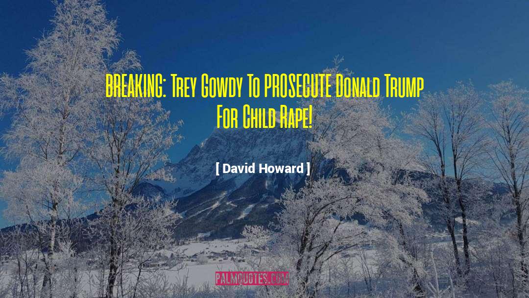 Prosecute quotes by David Howard