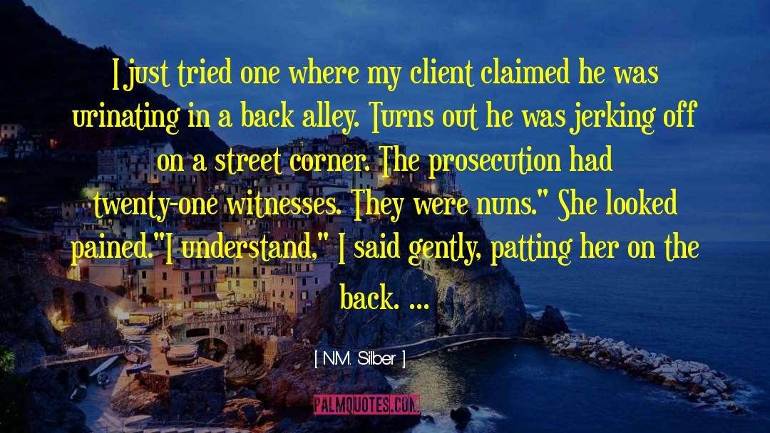 Prosecution quotes by N.M. Silber