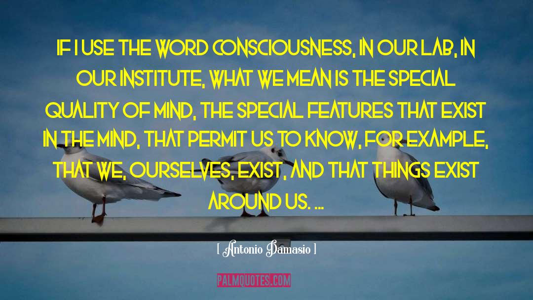 Prosperity Consciousness quotes by Antonio Damasio