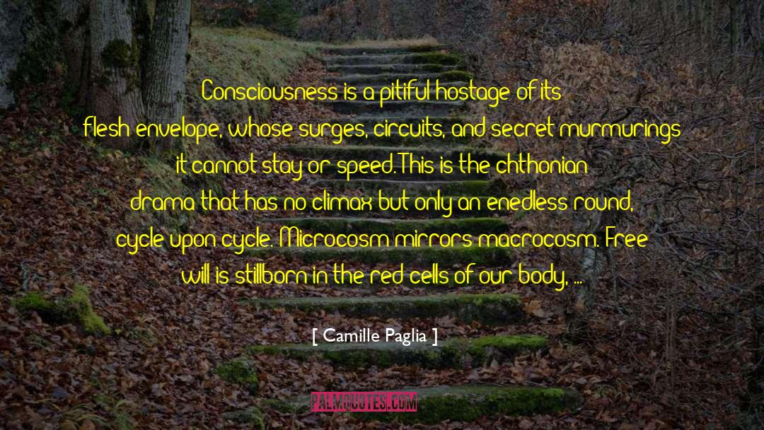 Prosperity Consciousness quotes by Camille Paglia