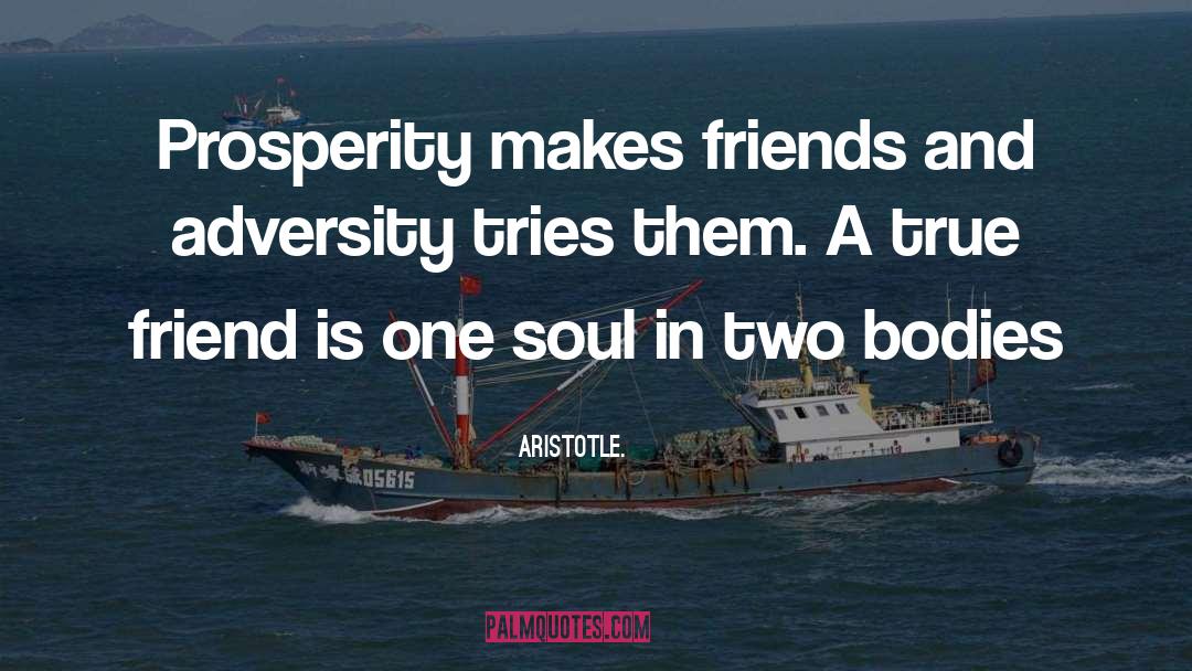 Prosperity quotes by Aristotle.