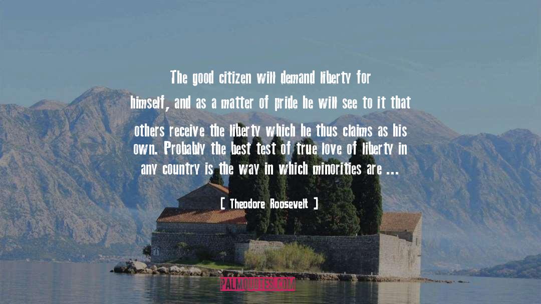 Prosperous Country quotes by Theodore Roosevelt
