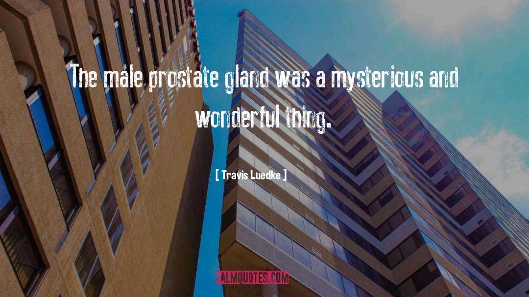 Prostate Gland quotes by Travis Luedke
