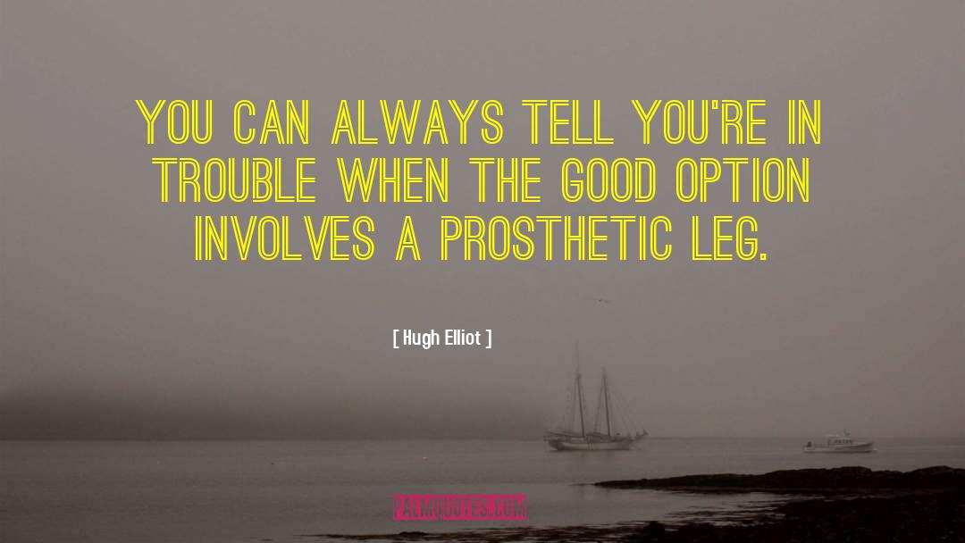 Prosthetics quotes by Hugh Elliot