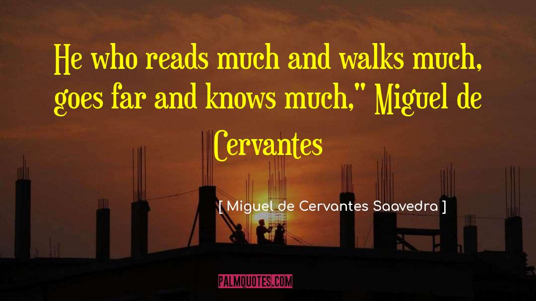 Protagoras De Abdera quotes by Miguel De Cervantes Saavedra