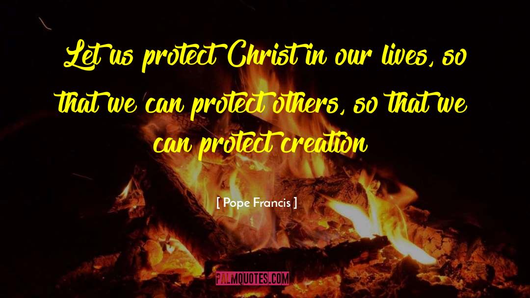 Protect Others quotes by Pope Francis