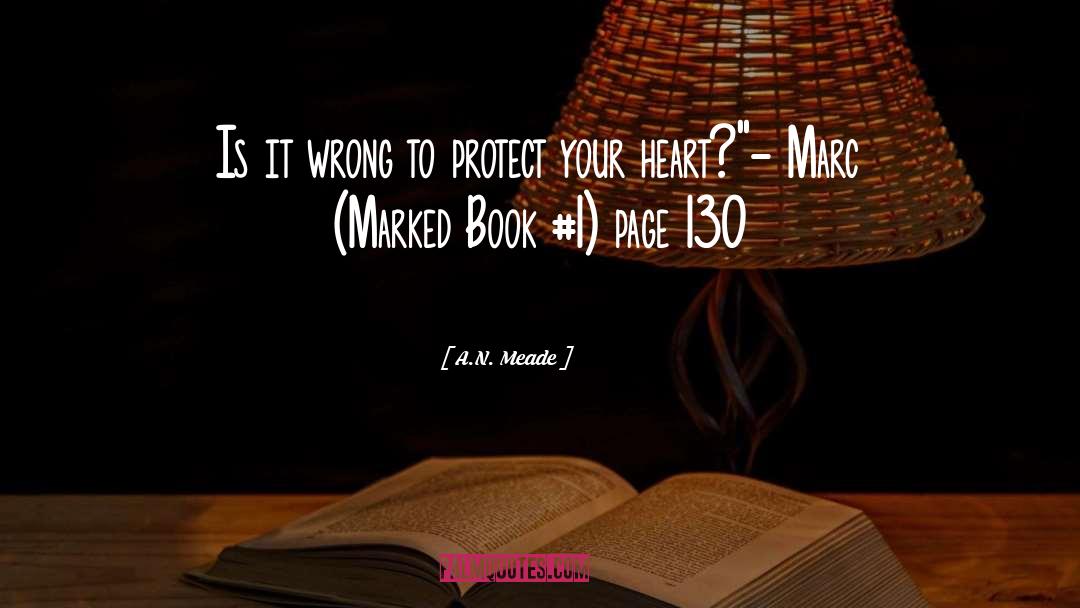 Protect Your Heart quotes by A.N. Meade