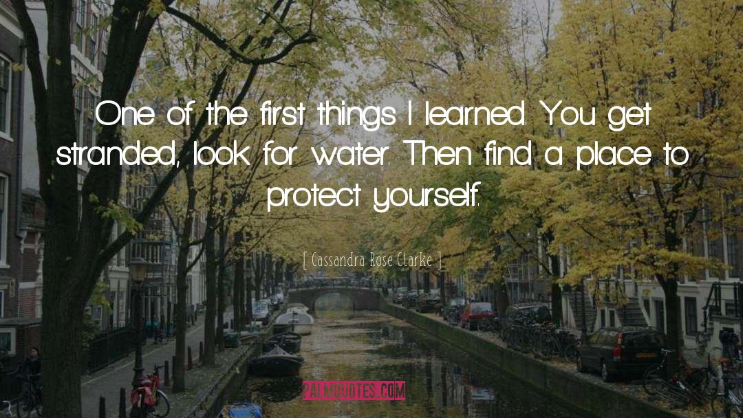 Protect Yourself quotes by Cassandra Rose Clarke