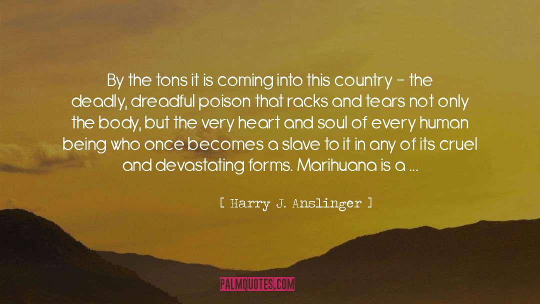 Protecting Your Country quotes by Harry J. Anslinger