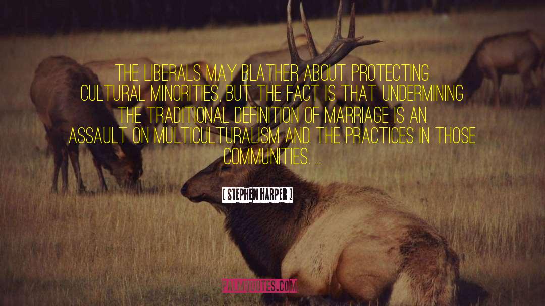Protecting Yourself quotes by Stephen Harper