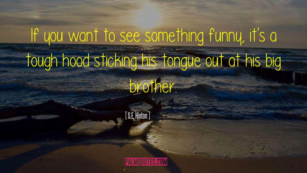 Protective Big Brothers quotes by S.E. Hinton