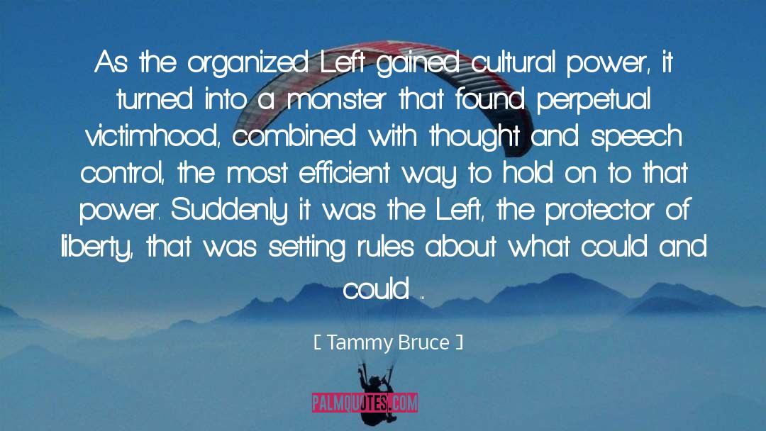 Protector quotes by Tammy Bruce