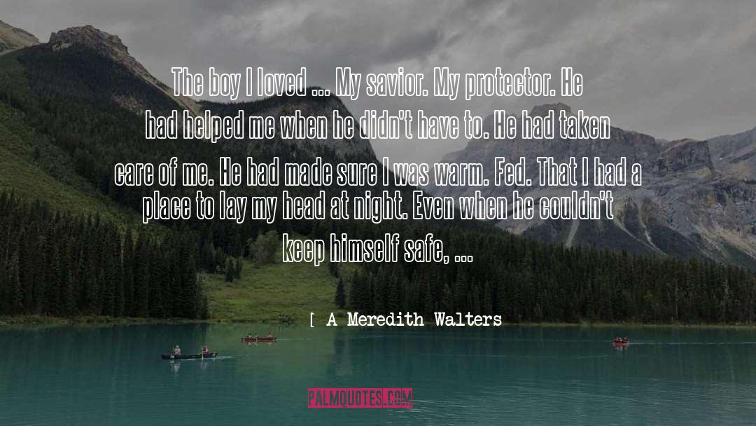 Protector quotes by A Meredith Walters