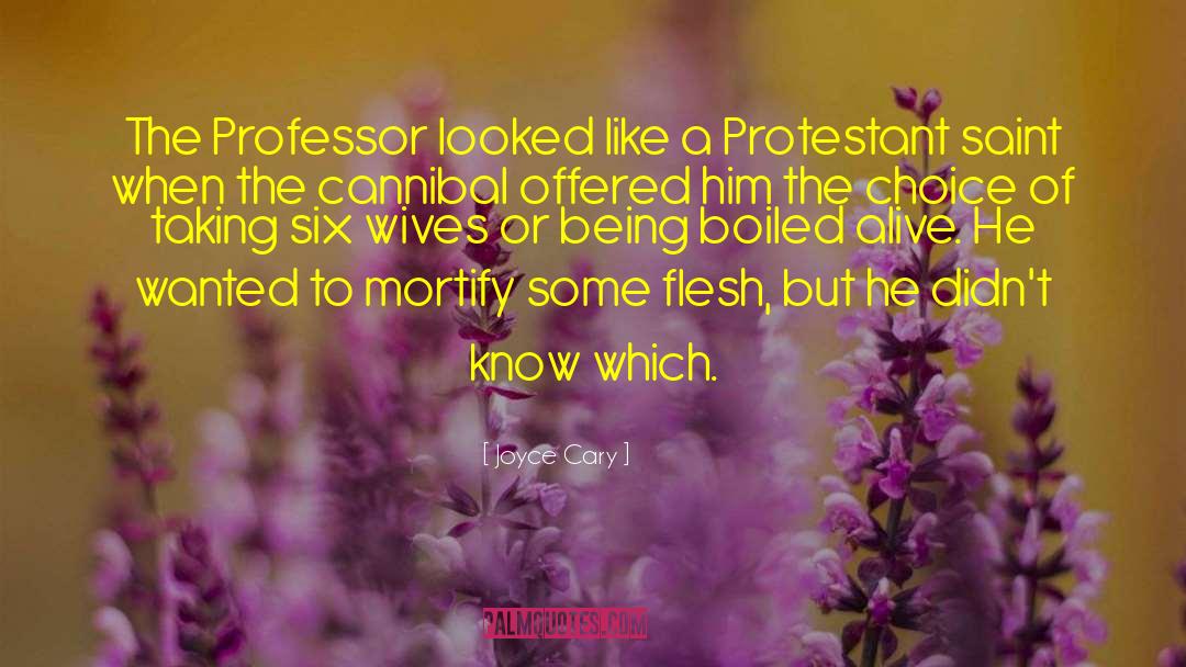 Protestant Saints quotes by Joyce Cary