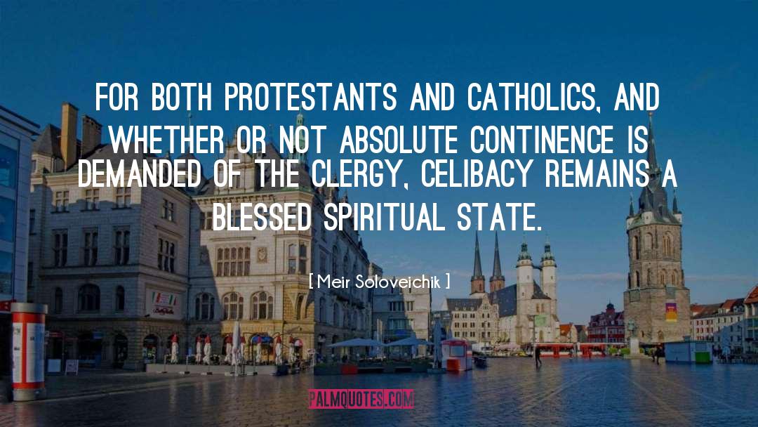 Protestants quotes by Meir Soloveichik