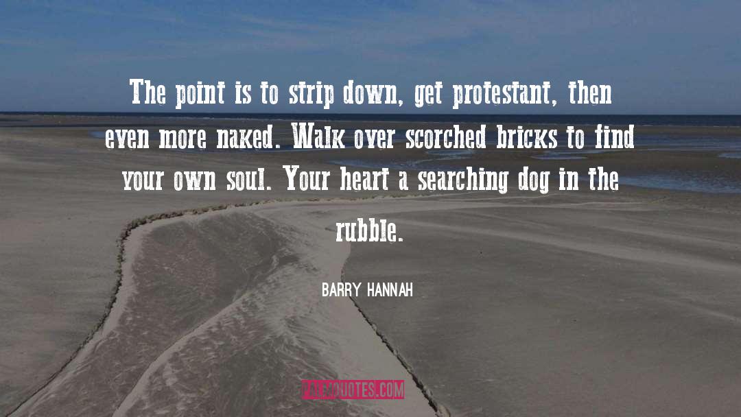 Protestants quotes by Barry Hannah