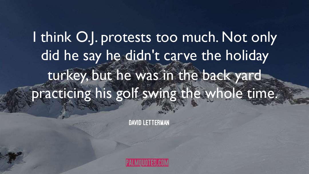 Protests quotes by David Letterman