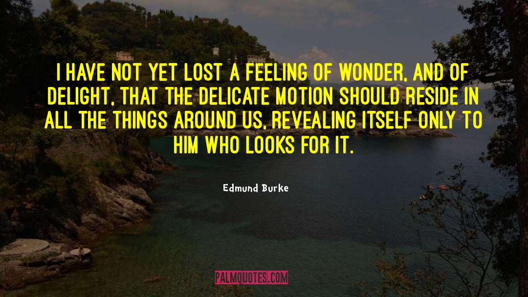 Proton quotes by Edmund Burke