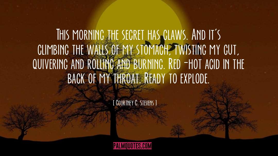 Protuberant Stomach quotes by Courtney C. Stevens