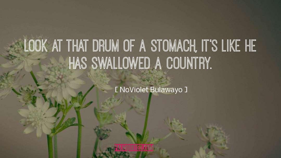 Protuberant Stomach quotes by NoViolet Bulawayo