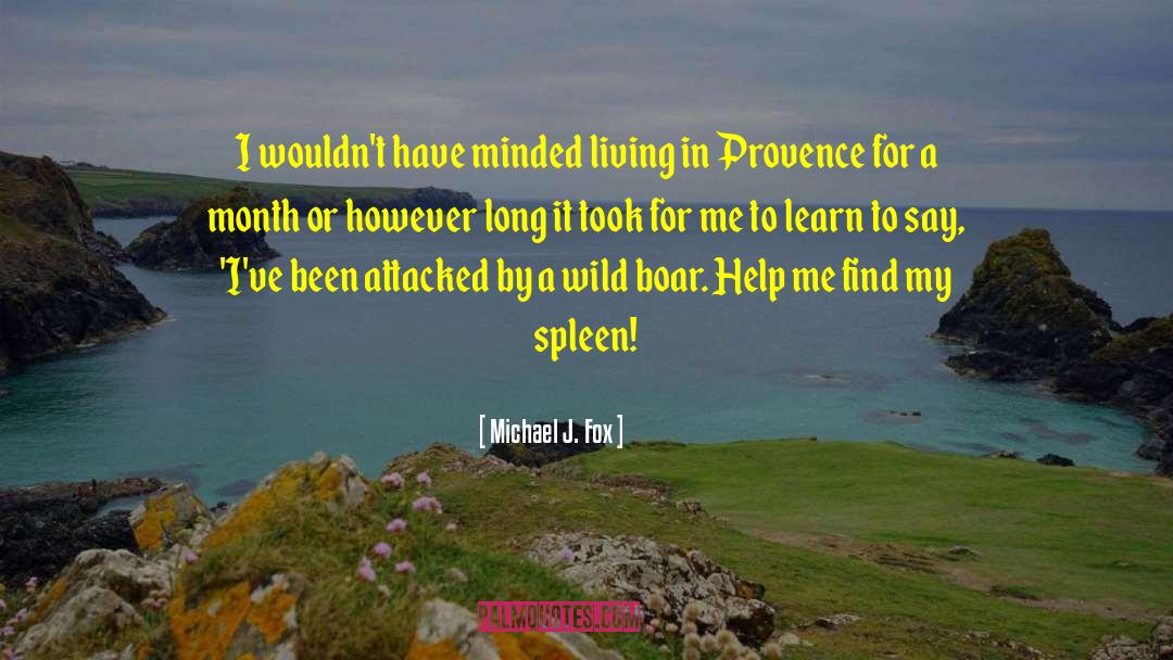 Provence quotes by Michael J. Fox
