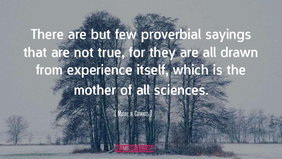 Proverbial quotes by Miguel De Cervantes