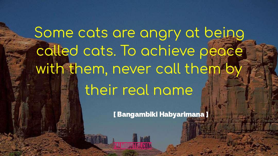 Proverbial Wisdom quotes by Bangambiki Habyarimana