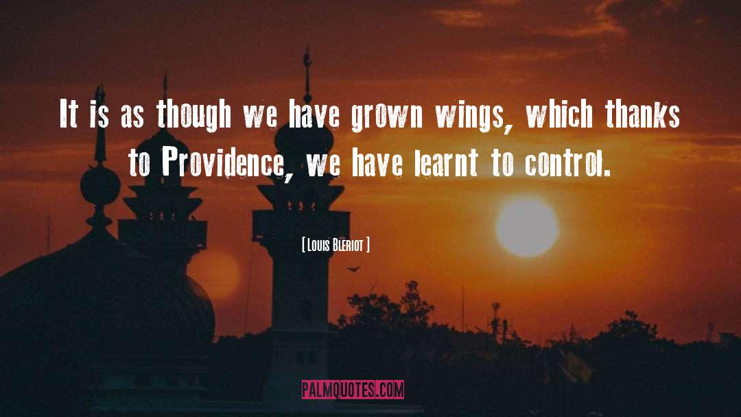Providence quotes by Louis Bleriot