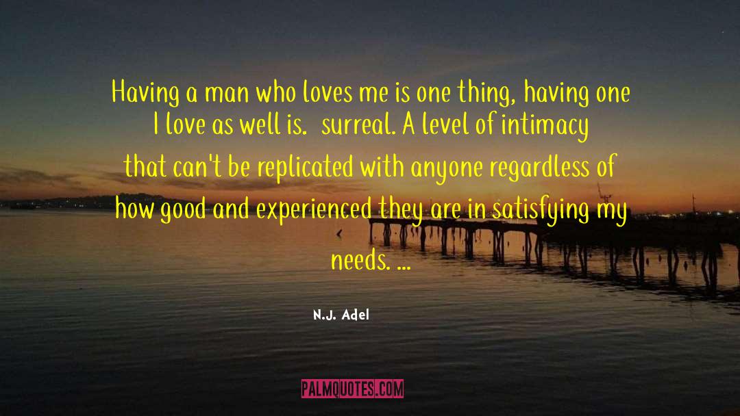 Proving Love quotes by N.J. Adel