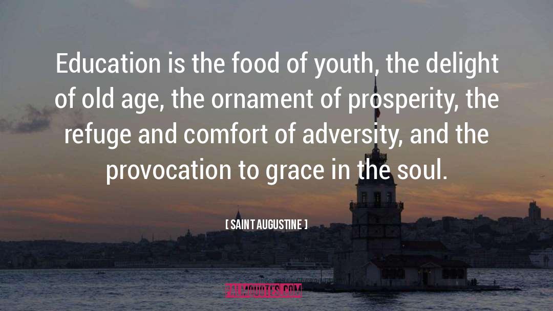 Provocation quotes by Saint Augustine