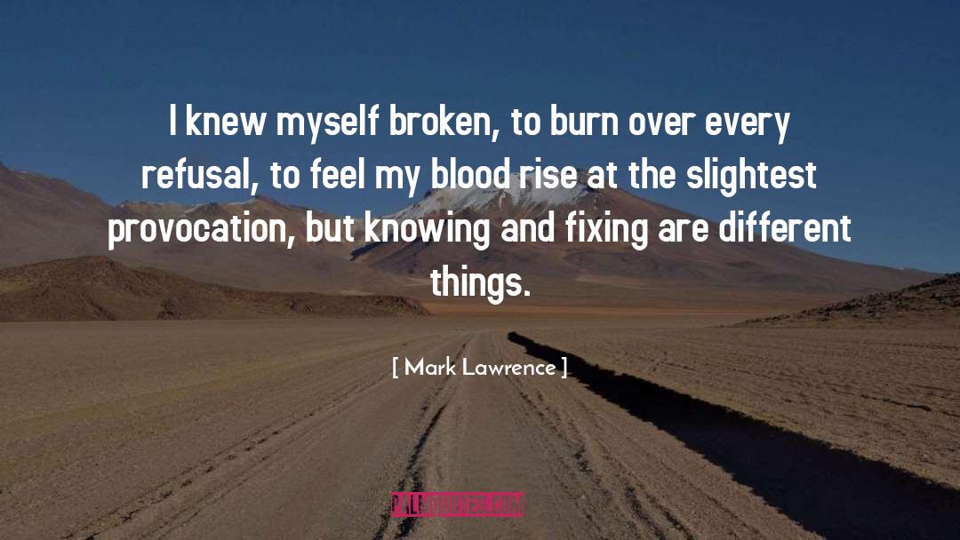 Provocation quotes by Mark Lawrence