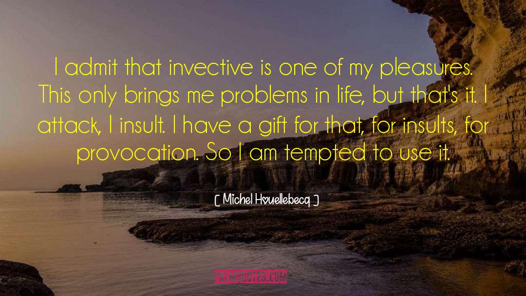 Provocation quotes by Michel Houellebecq