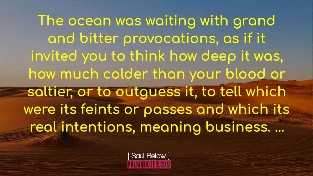 Provocations quotes by Saul Bellow