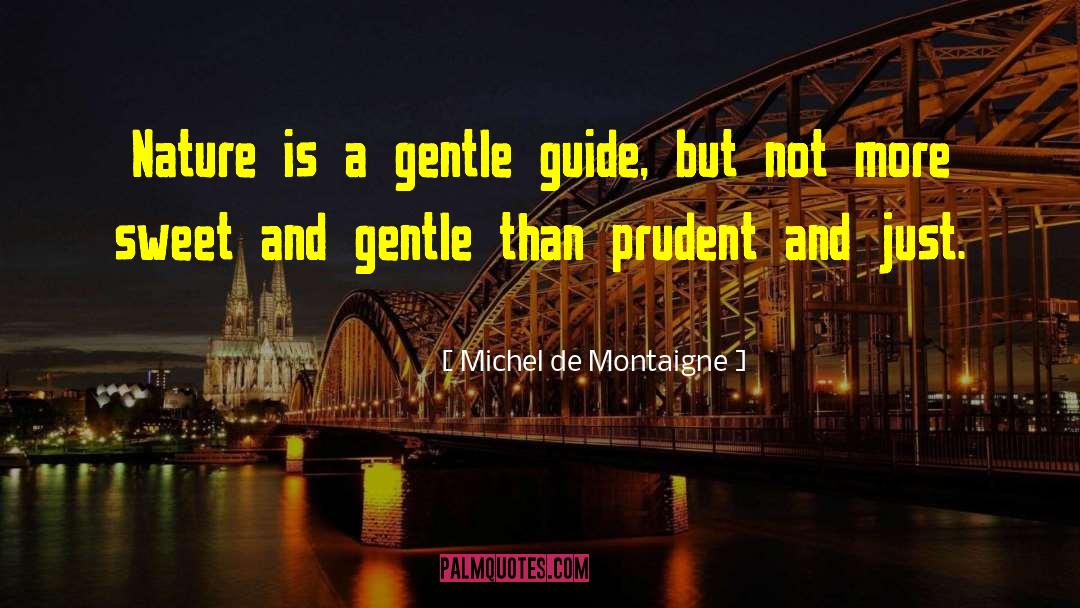 Prudent quotes by Michel De Montaigne