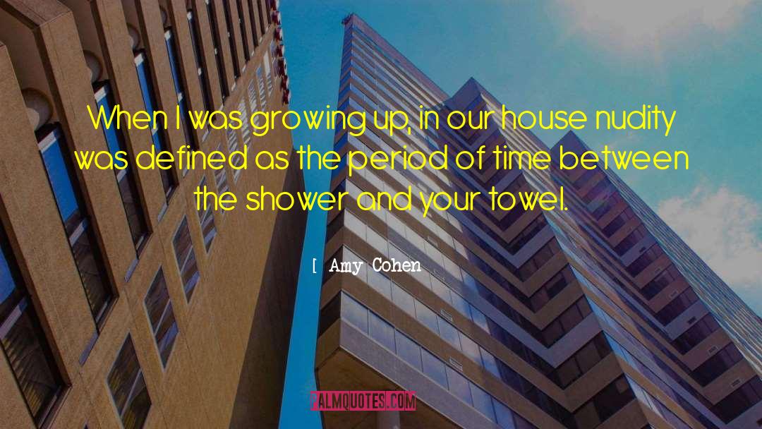 Prudishness quotes by Amy Cohen