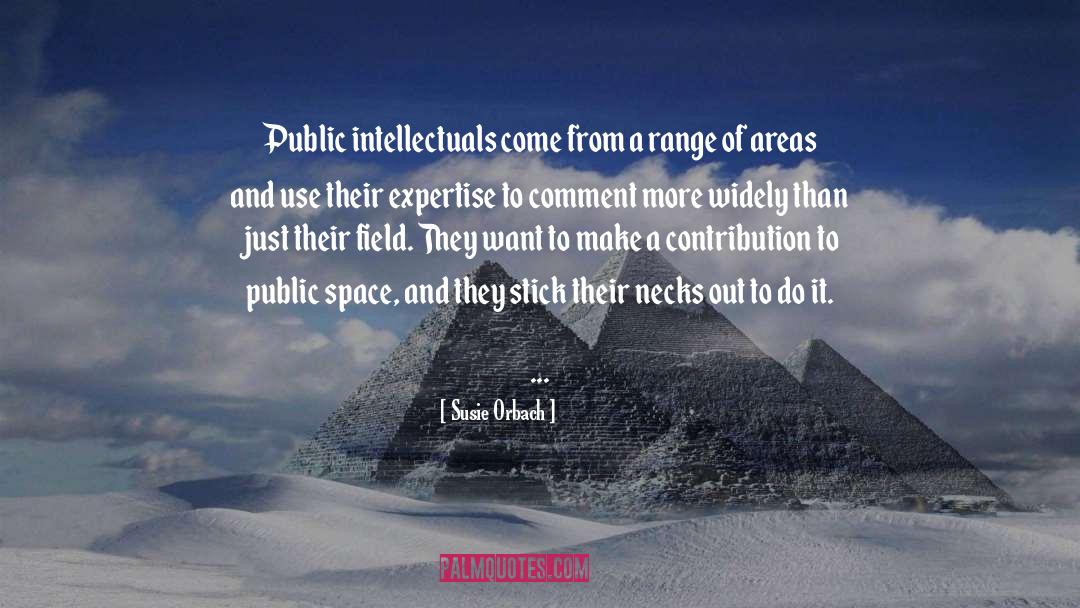 Pseudo Intellectuals quotes by Susie Orbach