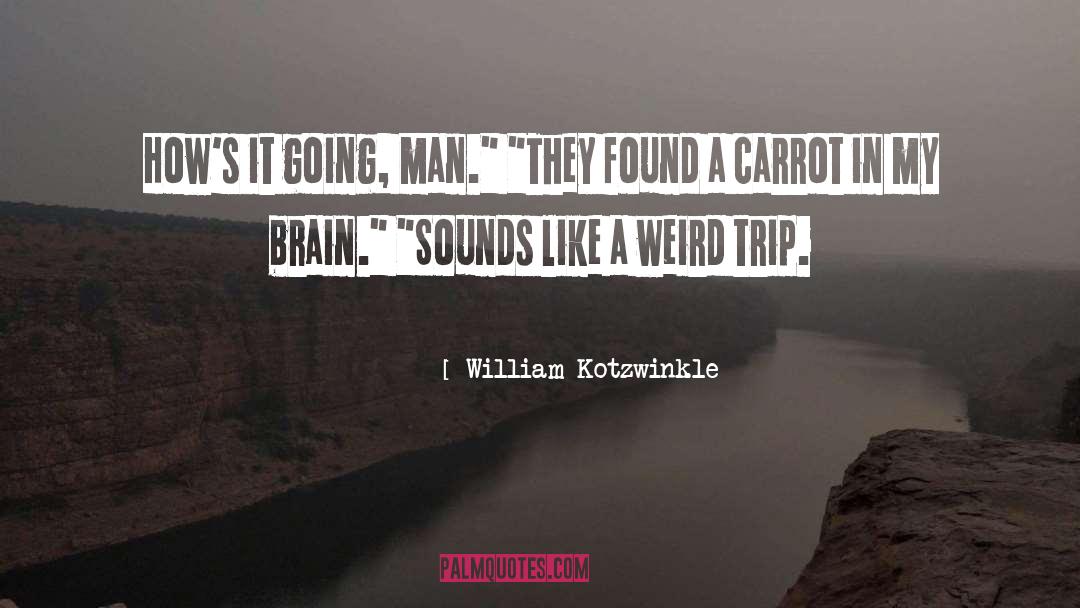 Psychedelia quotes by William Kotzwinkle
