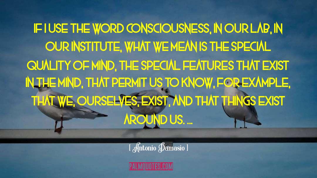 Psychedelic Consciousness quotes by Antonio Damasio