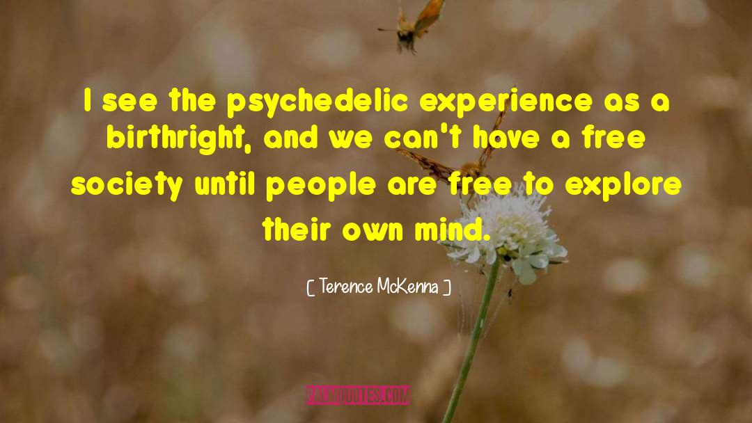 Psychedelic Experience quotes by Terence McKenna