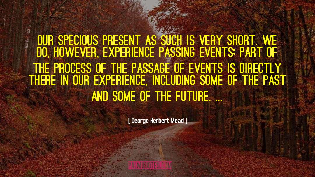 Psychedelic Experience quotes by George Herbert Mead