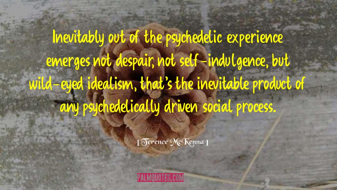 Psychedelic Experience quotes by Terence McKenna