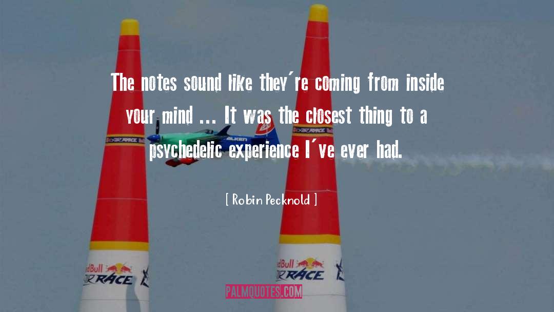Psychedelic Experience quotes by Robin Pecknold