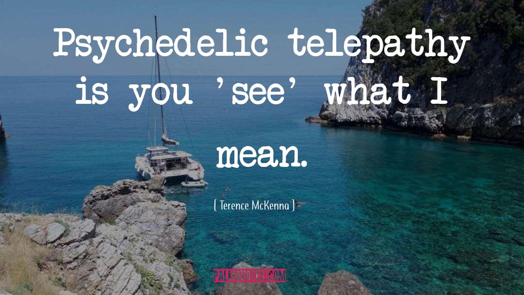 Psychedelic Trips quotes by Terence McKenna