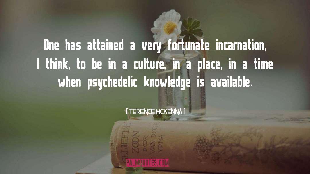 Psychedelic Trips quotes by Terence McKenna