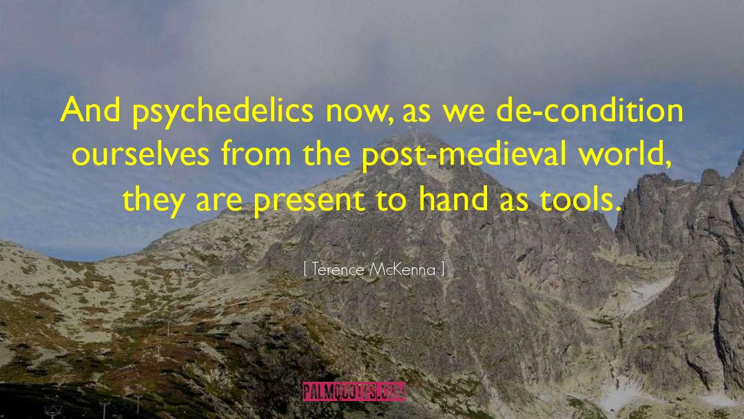 Psychedelics quotes by Terence McKenna